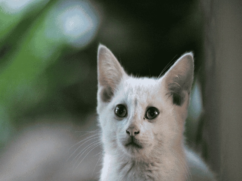 毓璜顶试管检查流程，试管微刺激饮食