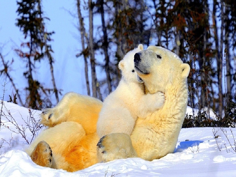 南京做试管费用，哪家医院试管权威