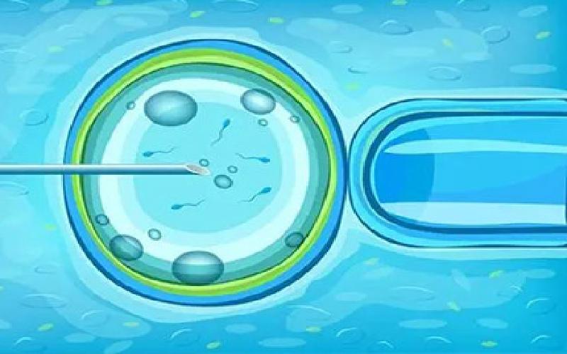 试管促排打hmg代生